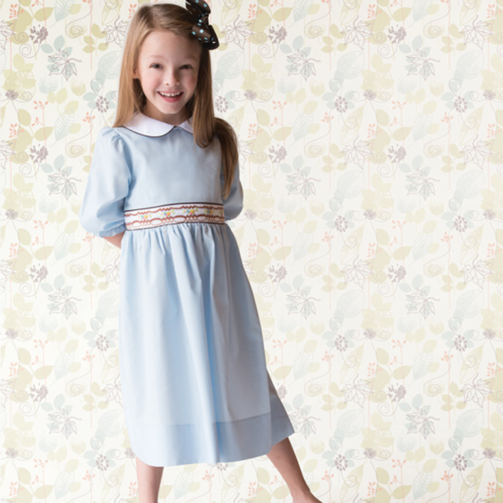 Medium Blue 3/4 Sleeve Brown Trim Smocked Baby Dress w/Peter Pan Collar 17F 6065 D